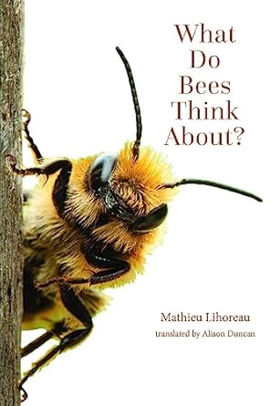 Book cover of a bee in close-up, titled What Do Bees Think About?